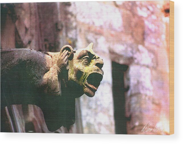 Gargoyle Wood Print featuring the photograph Hear No Evil by Diana Haronis