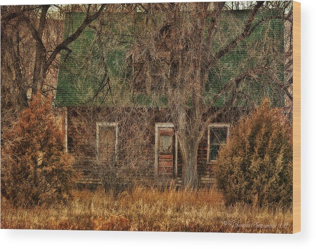 Cabin Wood Print featuring the photograph Hidden In Spring by Debra Boucher