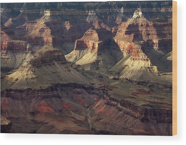 Grand Canyon Wood Print featuring the photograph Hopi Point by Cindy Rubin