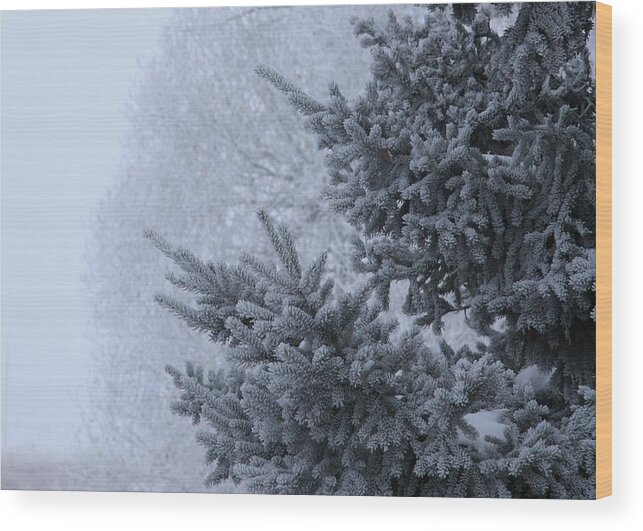 Frost Wood Print featuring the photograph January by Ellery Russell