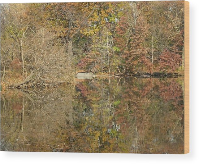  Wood Print featuring the photograph Lakeside Reflections by Sarah McKoy