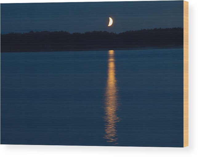 Light Wood Print featuring the photograph Light of the moon over the lake by Michael Goyberg