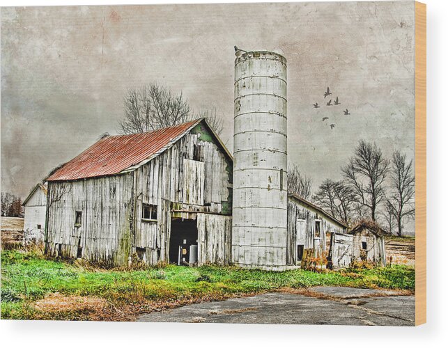 Barns Wood Print featuring the photograph Lone Barn by Mary Timman