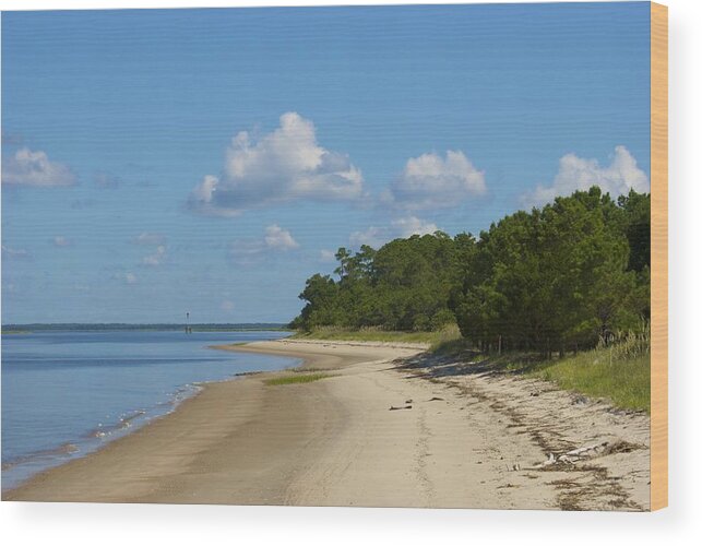 Beach Wood Print featuring the photograph Lone Beach by Ralph Jones