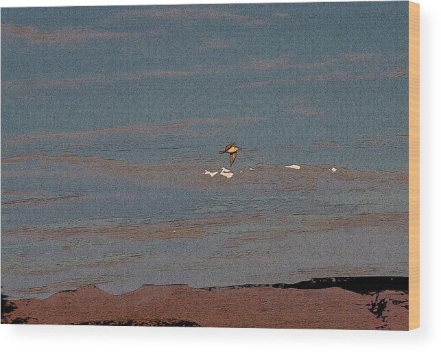 Sea Gull Wood Print featuring the digital art Lone Gull by Gilbert Artiaga