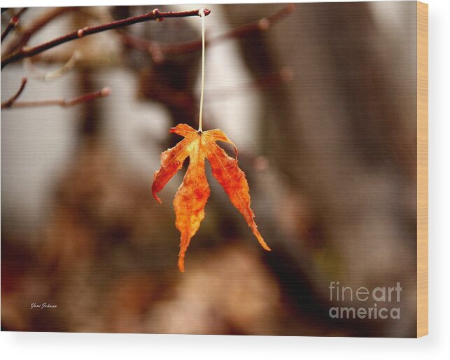 Leaves Wood Print featuring the photograph Lone leaf by Yumi Johnson