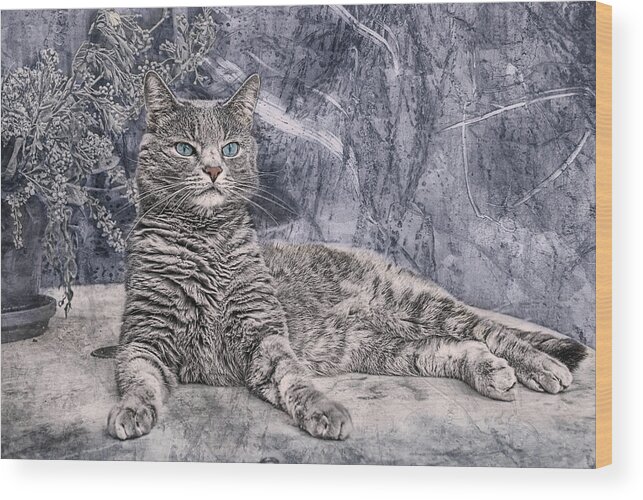 Cat Wood Print featuring the photograph Majestix II by Joachim G Pinkawa