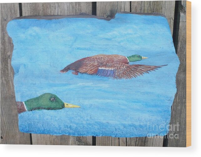 Mallard Wood Print featuring the painting Mallard Ducks by Monika Shepherdson