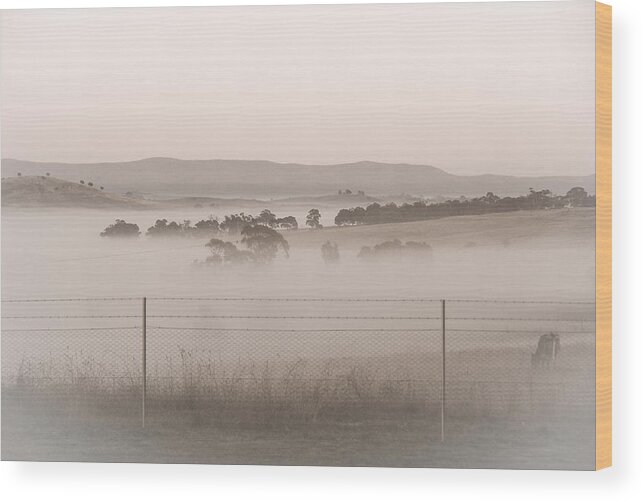 Sepia Wood Print featuring the photograph Misty morning in the country 2 by Fran Woods