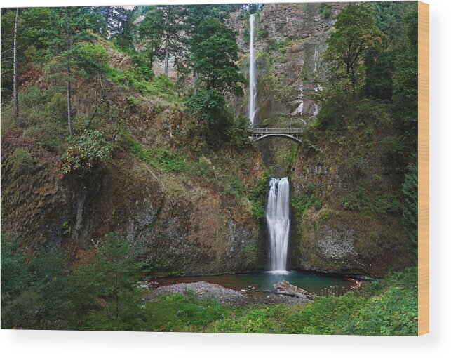 Multnomah Falls Wood Print featuring the photograph Multnomah Falls by Richard Ferguson