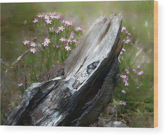 Nature Wood Print featuring the photograph Natural sculpture by Jocelyn Kahawai