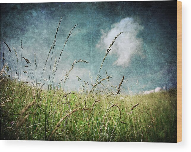 Nature Wood Print featuring the photograph Nature by Laura Melis