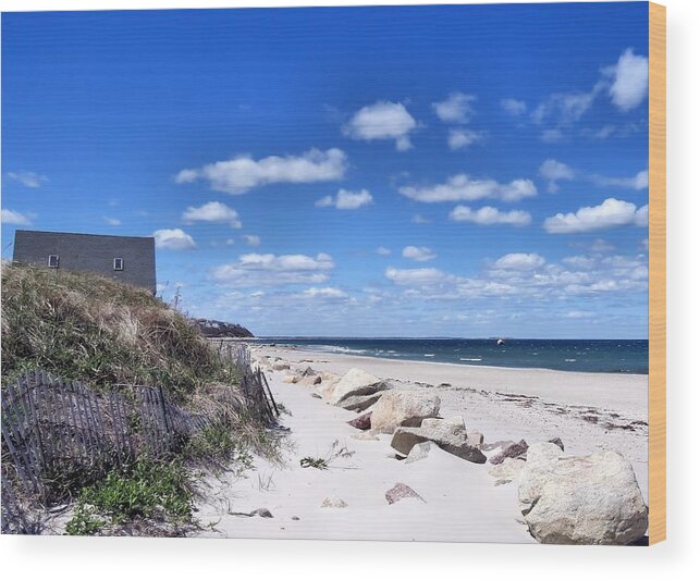 Beach Wood Print featuring the photograph On White Horse Beach by Janice Drew