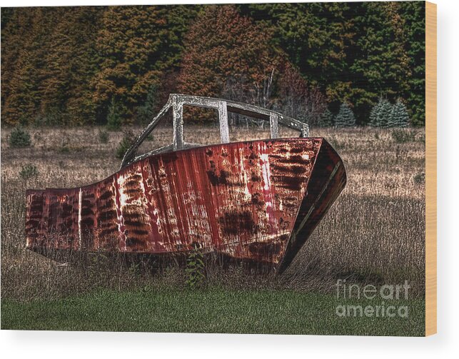 Boat Wood Print featuring the photograph Out To Pasture by Terry Doyle