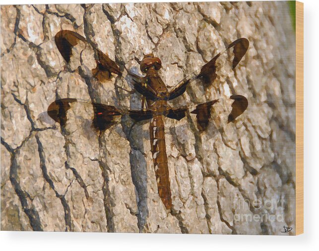 Painted Skimmer Wood Print featuring the painting Painted Skimmer on Oak by David Lee Thompson