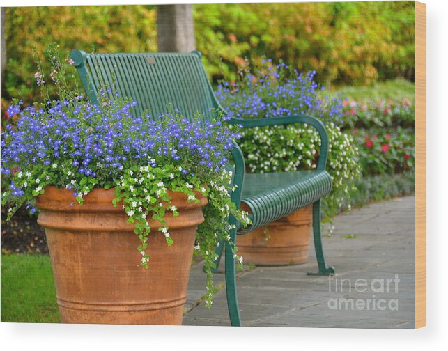 Bench Wood Print featuring the photograph Park It by Debbi Granruth