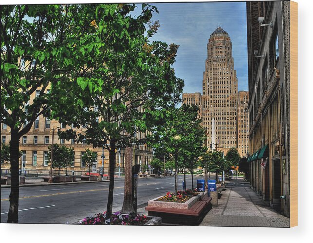  Wood Print featuring the photograph Pedestrian View of City Hall Horizontal by Michael Frank Jr