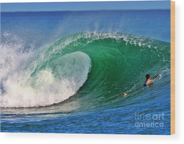 Ocean Wood Print featuring the photograph Perfect View by Paul Topp