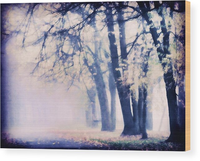 Landscape Wood Print featuring the photograph Pink Mood by Juanita L Ruffner