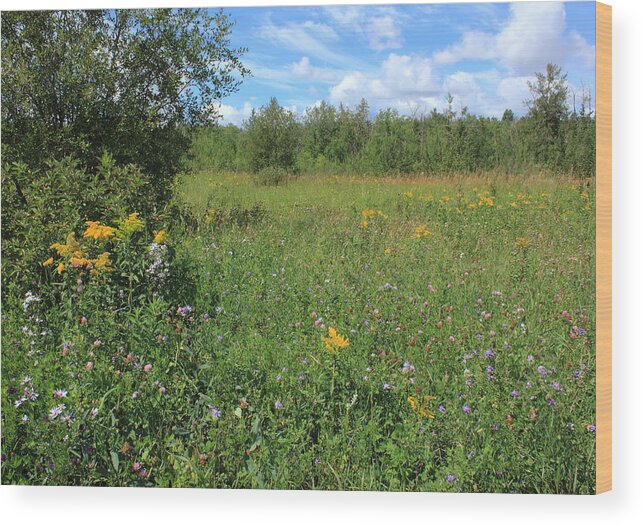 Flowers Wood Print featuring the photograph Purple and yellow wildflowers in meadow by Jim Sauchyn