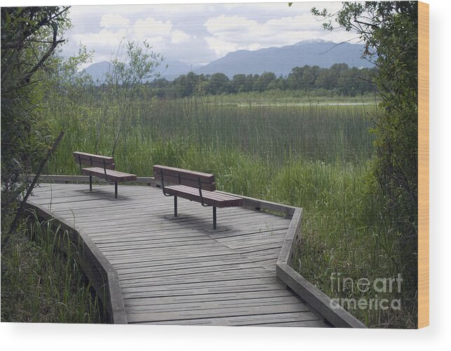 Trails Wood Print featuring the photograph Relaxation by Bill Thomson