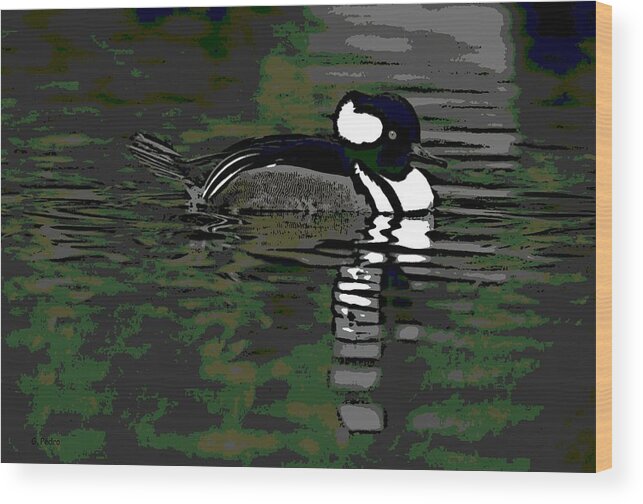 Hooded Merganser Wood Print featuring the photograph Rippled by George Pedro