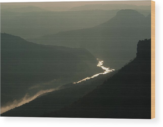 Africa Wood Print featuring the photograph Rivergold by Alistair Lyne