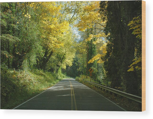 Landscape Wood Print featuring the photograph Road through Autumn by Kathleen Grace