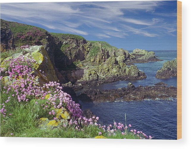 Aberdeen Wood Print featuring the photograph Rugged Coast by Rod Jones