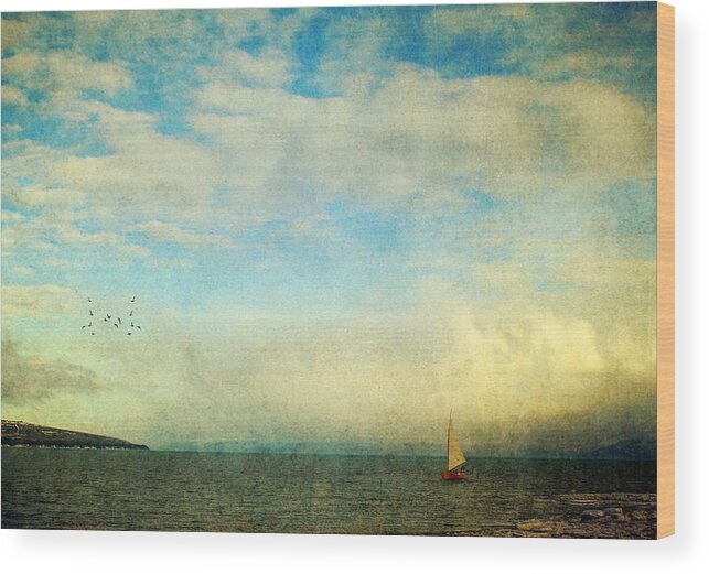 Seascape Wood Print featuring the photograph Sailing on the Sea by Michele Cornelius
