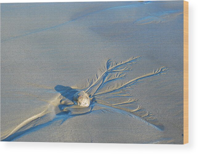 Sand Wood Print featuring the photograph Sand Art by Wanda Jesfield