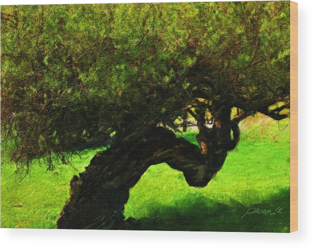 Painting Landscape Tree Carmel Valley California Pavelle Fine Art Wood Print featuring the painting Shadow Tree Carmel Valley by Jim Pavelle