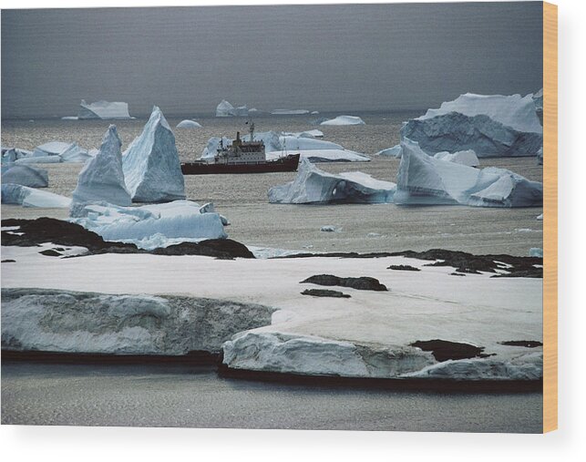 Bransfield (research Ship) Wood Print featuring the photograph Ship Rrs Bransfield Among Icebergs by Doug Allan