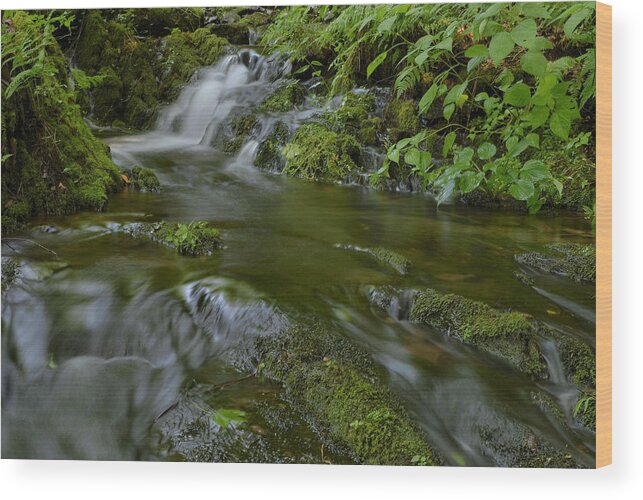 Waterfall Wood Print featuring the photograph Smokey Mountain Waterfall by Stephen Vecchiotti