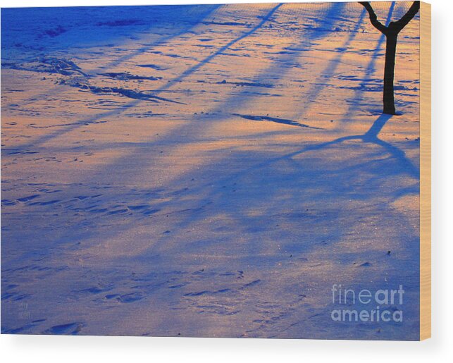 Snow Wood Print featuring the photograph Snow Tree by Leela Arnet