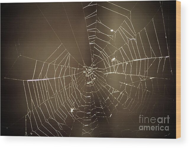 Yhun Suarez Wood Print featuring the photograph Spider Web 1.0 by Yhun Suarez