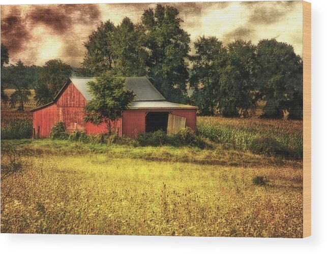 Barn Wood Print featuring the photograph Sunset Barn by Mary Timman