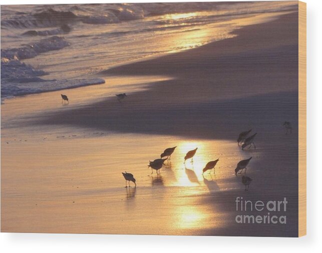 Nature Wood Print featuring the photograph Sunset Beach by Nava Thompson