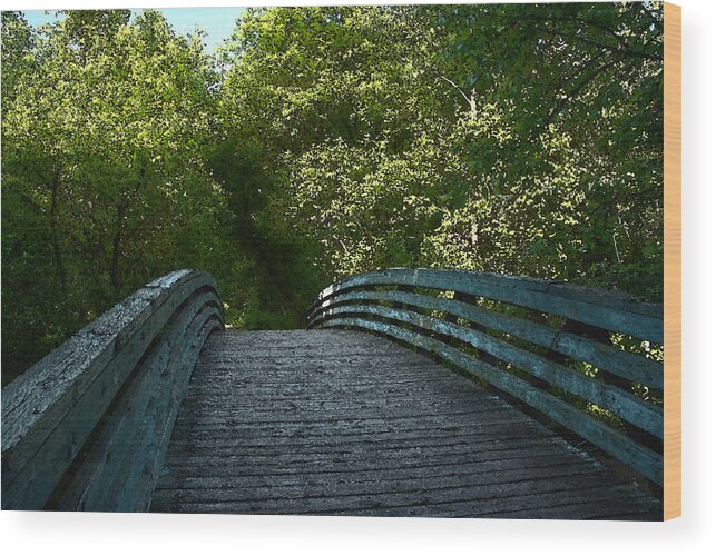 Digital Art Wood Print featuring the photograph The Bridge by Dragan Kudjerski