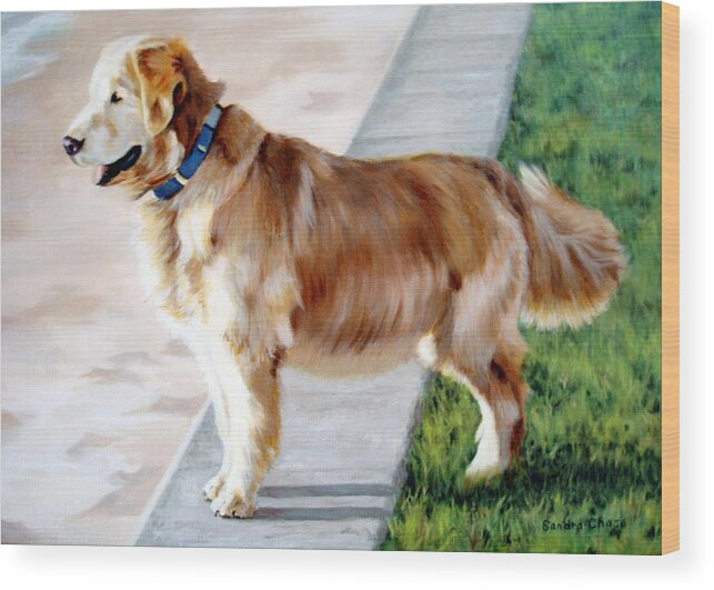 Dog Wood Print featuring the painting The Patient Golden by Sandra Chase