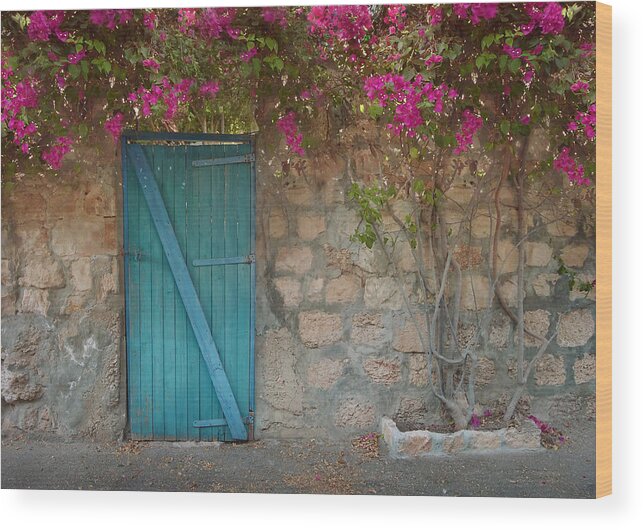 The Secret Garden Wood Print featuring the photograph The Secret Garden by Meir Ezrachi