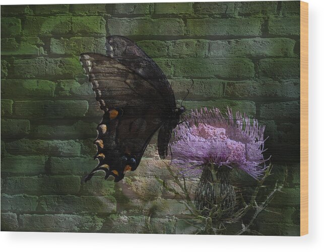 Butterfly Wood Print featuring the mixed media Thistle and Butterfly by Eric Liller