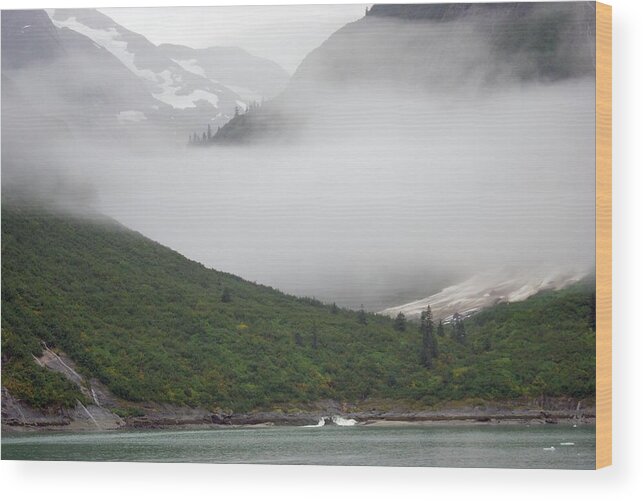 Mountain Wood Print featuring the photograph Tracy Arm Inlet by Marilyn Wilson