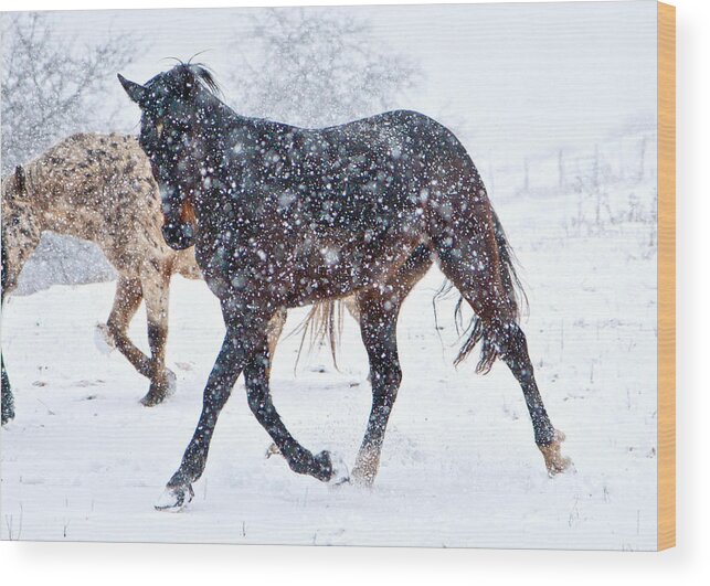 Snow Wood Print featuring the photograph Trotting in the Snow by Betsy Knapp