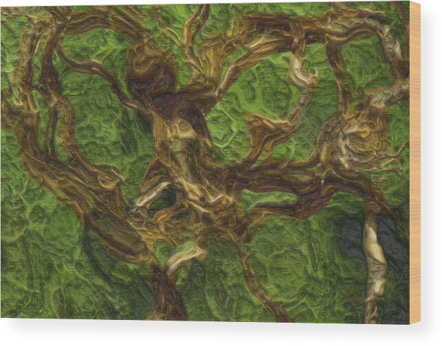 Twist Wood Print featuring the photograph Twisted by Jack Zulli