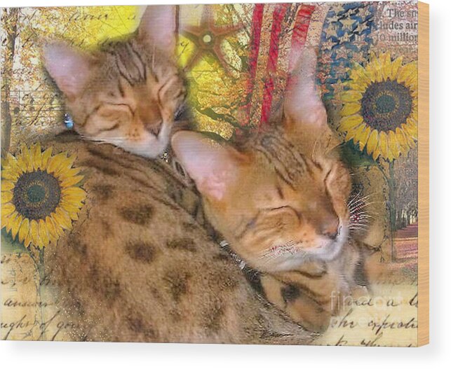Art;cats;spotted Cats;sunflower;american Flag;unique;one Of A Kind Wood Print featuring the digital art Two Kitties Sitting in a Tree by Ruby Cross