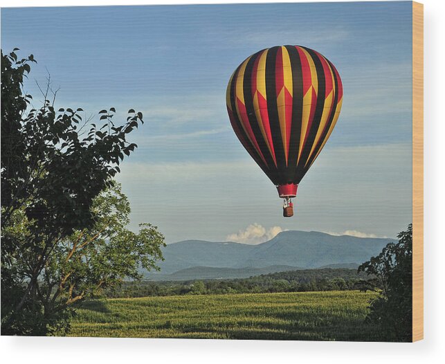 Hot Air Balloon Wood Print featuring the photograph Up Up And Away Blueridge 2 by Lara Ellis
