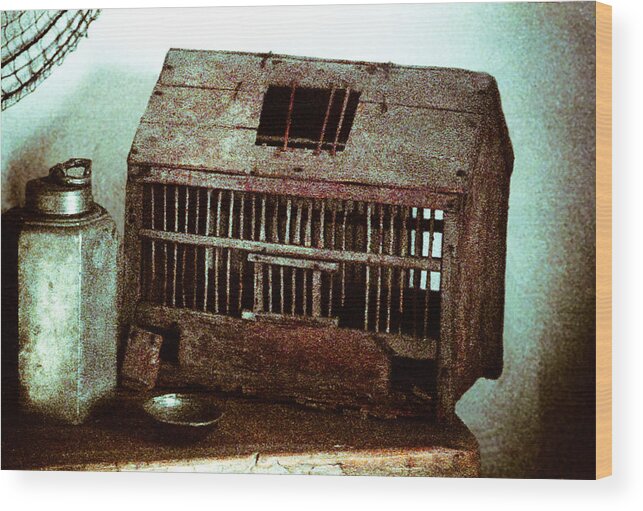 Bird Cage Wood Print featuring the photograph Vintage bird cage by Emanuel Tanjala