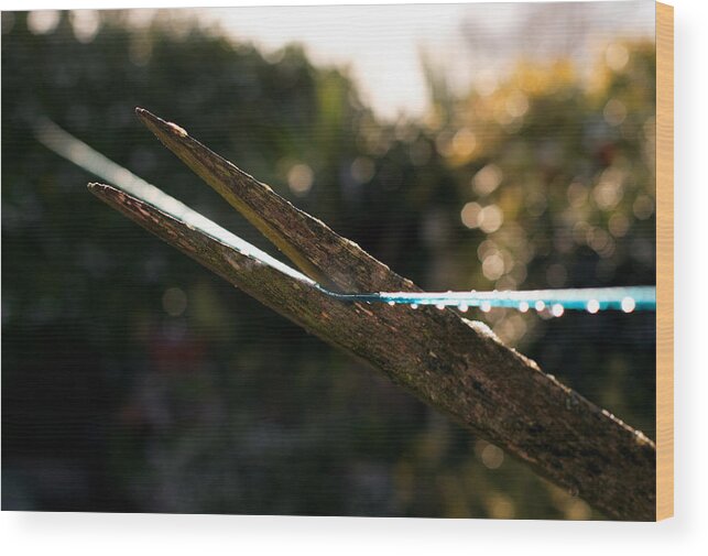 Washing Wood Print featuring the photograph Washing Line by David Harding