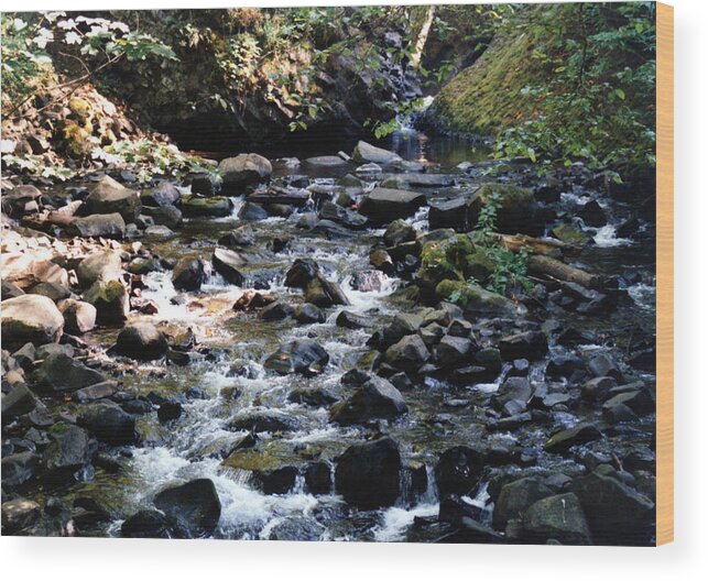 Oregon Wood Print featuring the photograph Water Over Rocks by Maureen E Ritter